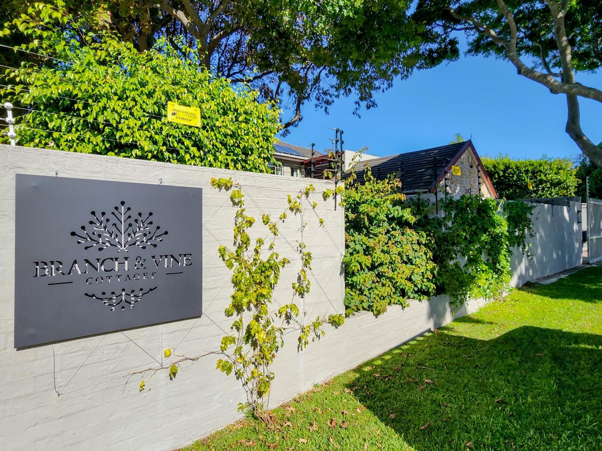 Branch & Vine Cottages - Constantia - Formerly Pinoak Cottages Fokváros Kültér fotó